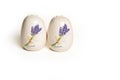 Ceramic pepper pot and salt cellar Royalty Free Stock Photo