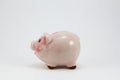 Ceramic pig piggy box Royalty Free Stock Photo