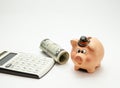 Ceramic Piggy bank, dollars and calculator. Concept of saving money Royalty Free Stock Photo