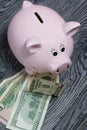 Ceramic piggy bank in the form of a pink pig. Nearby are dollar bills. Against the background of aged wooden boards with a black Royalty Free Stock Photo