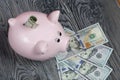Ceramic piggy bank in the form of a pink pig. Nearby are dollar bills. One of them sticks out of the piggy bank. Against the Royalty Free Stock Photo