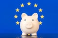 The problem is in the economy. The economic crisis. Saving money concept. Ceramic piggy bank with painting of flag Royalty Free Stock Photo