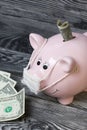 Ceramic piggy bank in pink. With a gauze bandage. In front of her are a few dollar bills. One of them sticks out of the slot. Royalty Free Stock Photo