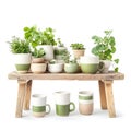a collection of potted plants and ceramic mugs displayed on a rustic wooden bench against a clean white background, evoking a sens Royalty Free Stock Photo