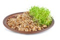 Ceramic plate with boiled buckwheat grains and alfalfa sprouts