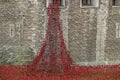 Ceramic Poppies at the Tower of London