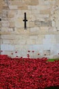 Ceramic poppies at Tower of London