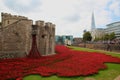 Ceramic poppies at Tower of London