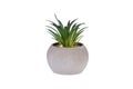 ceramic pot with decorative flowers on an isolated white background