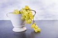 Ceramic pot full of sweet yellow fruit grapes Royalty Free Stock Photo