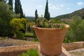 A ceramic pot of plants in the foreground with mediterranean landscape in the background. Royalty Free Stock Photo