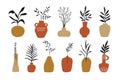 Ceramic pots and greek clay vases with different decorative plant branches set