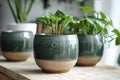 Ceramic pots, Lush, forest green
