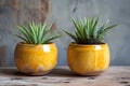 Ceramic pots, Radiant, goldenrod yellow