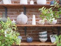 ceramic pots with succulents on a wooden shelf.