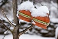 Ceramic pots under the snow