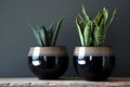 Ceramic pots, Velvety, midnight black