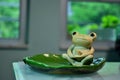 Handmade Frog dish ceramic Furnishings