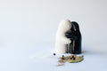 Ceramic Salt and pepper shakers on white bacground Royalty Free Stock Photo