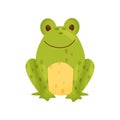 Ceramic salt shaker or pepper frog in the form of frog. Vector illustration.