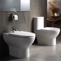 Ceramic Sanitary Ware