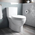 Ceramic Sanitary Ware