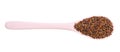 Ceramic spoon with canihua grains isolated