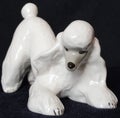 Statuette, a sculpture of a white crouching poodle on its front paws Royalty Free Stock Photo