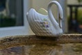 Ceramic swan reflected in water Royalty Free Stock Photo