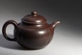 Ceramic tea-pot Royalty Free Stock Photo