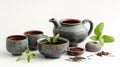 Ceramic tea set with loose leaf teas and fresh basil on a white background