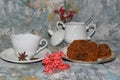 Ceramic tea set and plate with fruit cakes Royalty Free Stock Photo