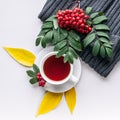 Ceramic teacup on white served table. Herbal tea in porcelain mug with saucer. Knitted sweater, rowan branch and rowanberry flat Royalty Free Stock Photo