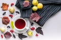 Ceramic teacup on white served table top view. Herbal tea in porcelain mug with saucer. Knitted sweater, sorb branch, leaves flat Royalty Free Stock Photo