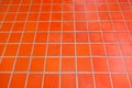 Ceramic tiled floor