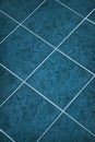 Ceramic tiled floor