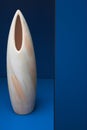 Ceramic vase Royalty Free Stock Photo