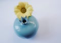 ceramic vase blue color chrysanthemum yellow white background Royalty Free Stock Photo