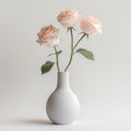 Ceramic vase with three delicate pink roses. White background Royalty Free Stock Photo