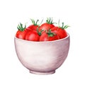 Ceramic white bowl with cherry tomatoes. Hand drawn watercolor illustration isolated on white for menu, label, package Royalty Free Stock Photo
