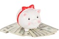 Ceramic white pig moneybox Royalty Free Stock Photo