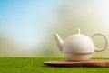 Ceramic white teapot on green grass on bright background. Tea time, tea drinking