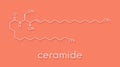 Ceramide cell membrane lipid molecule. Skeletal formula. Royalty Free Stock Photo