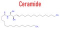 Ceramide cell membrane lipid molecule. Skeletal formula. Royalty Free Stock Photo