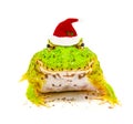 Happy green pacman frog wit christmas hat isolated on white background