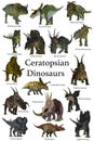 Ceratopsian Dinosaurs Collection