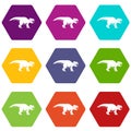 Ceratopsians dinosaur icon set color hexahedron