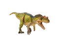 Ceratosaurus , Dinosaur on white background Royalty Free Stock Photo