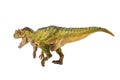 Ceratosaurus , Dinosaur on white background Royalty Free Stock Photo