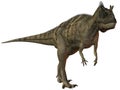 Ceratosaurus nasicornis-3D Dinosaur Royalty Free Stock Photo